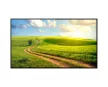 Allsee Standard Monitor 55" IPS 24/7 FHD