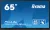 iiyama ProLite 65" touch kijelző