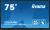 iiyama ProLite 75" touch kijelző